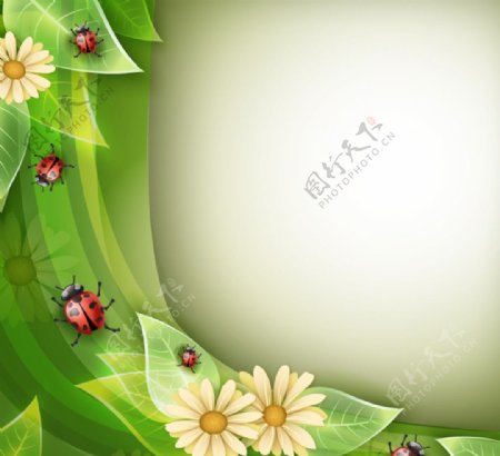 绿色植物与瓢虫背景矢量素材图片