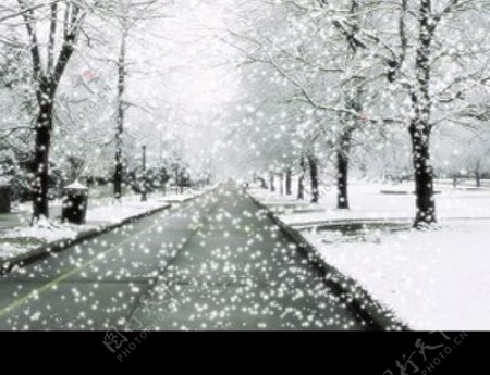 动态雪景图片