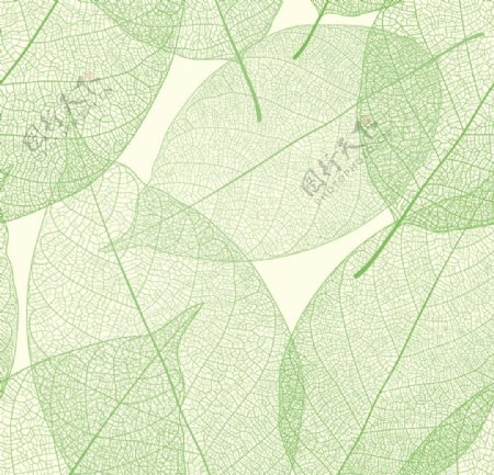 绿叶背景矢量素材图片