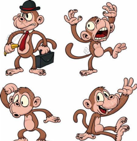 卡通小猴子图片