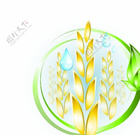 水晶小麦麦穗图片