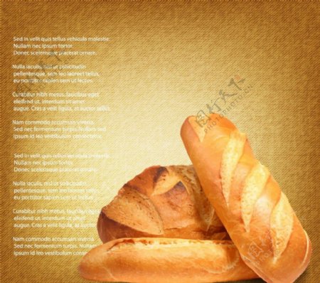 面包背景图片