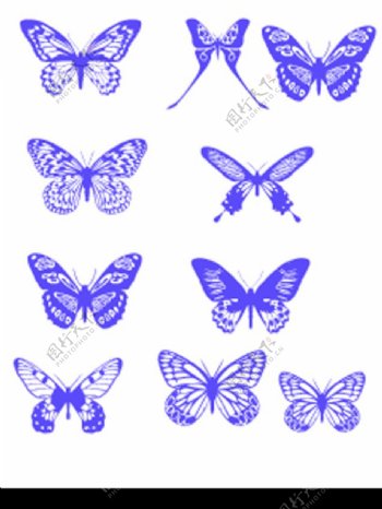 各种不同样式的蝴蝶笔刷