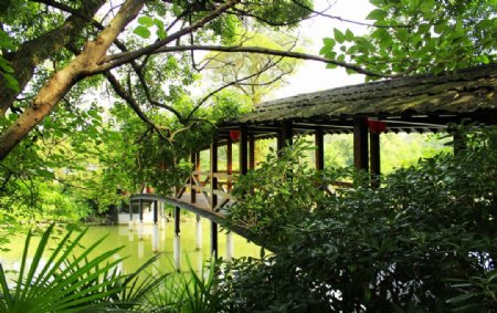 小小风雨桥图片