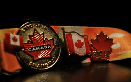 世博加拿大徽章展图片