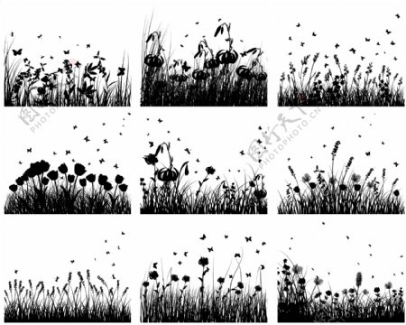 草地鲜花剪影图片