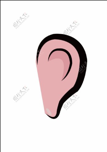 五官耳朵图片
