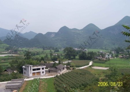 鹤峰县响溪村图片