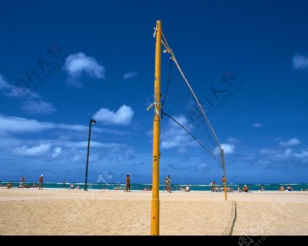 海滩排球网图片