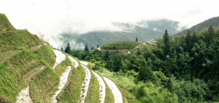 龙脊梯田全景图图片