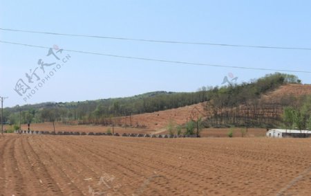 田地图片