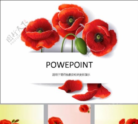 鲜花PPT