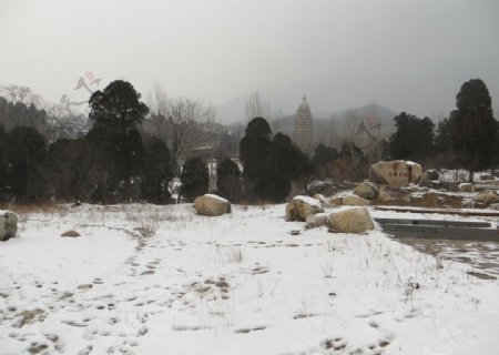 雪中的嵩岳寺塔图片
