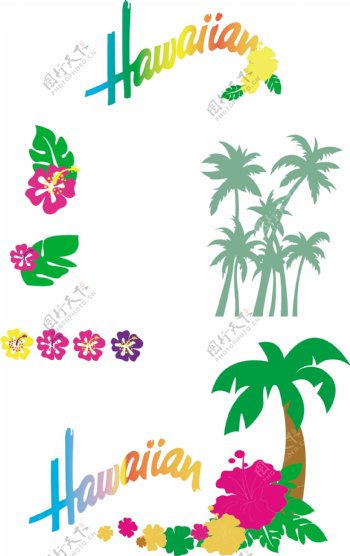 夏威夷花草树图片