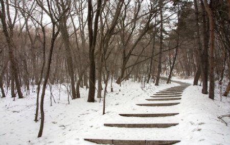 吉林冬季图片