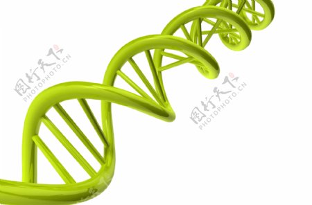 DNA遗传基因模型图片