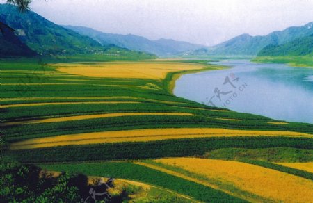 鸭绿江风景图片
