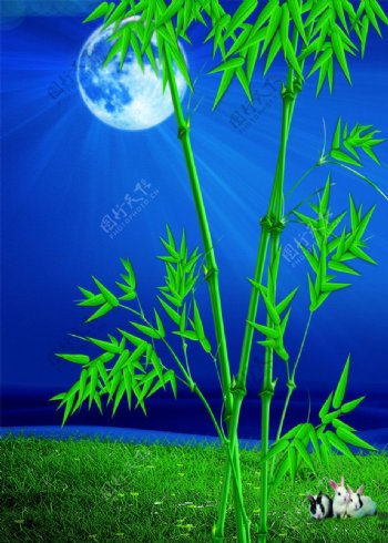 竹子月光图片