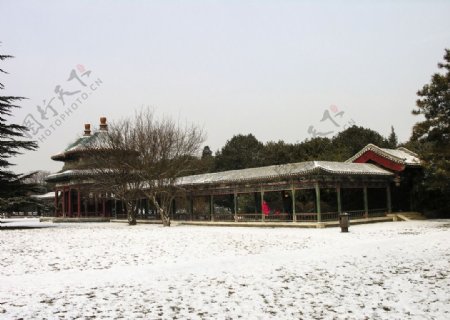 天坛冬景图片