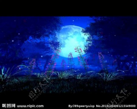 蓝色树影月亮夜晚视频