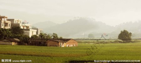 乡村风景图片