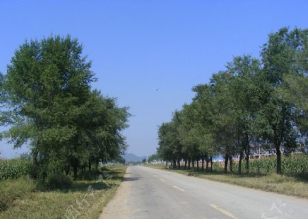 海林农村公路图图片