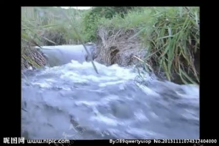 溪流背景视频素材