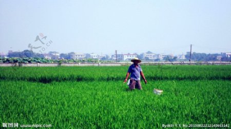 湘潭农村风光图片