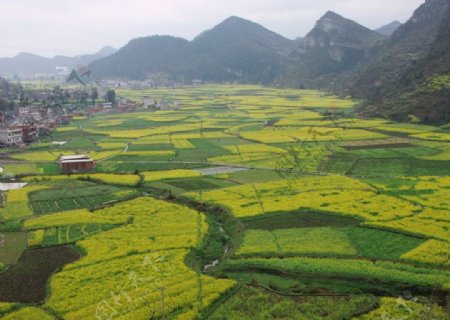 田园风光图片