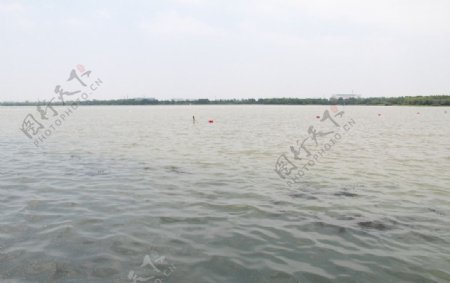 湖面景观图片