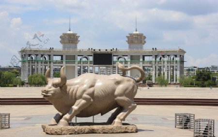石牛雕像广场图片