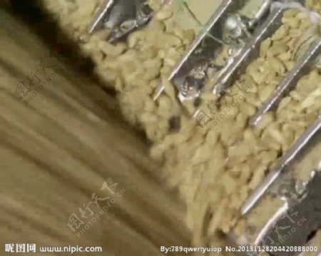 小麦加工视频素材
