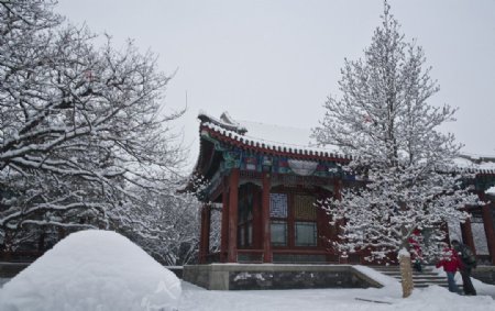 颐和园的雪图片