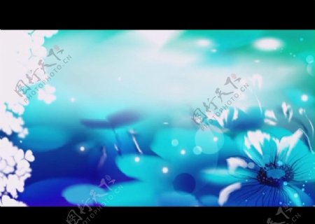 蓝色花朵背景视频素材