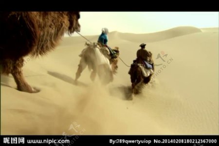 沙漠驼队视频素材