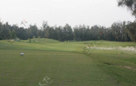 高尔夫球场R图片