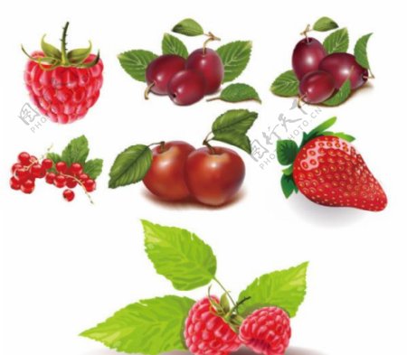 一些红色的水果矢量素材图片