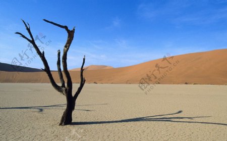 沙漠戈壁蓝天图片