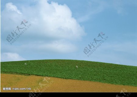 田野农民图片