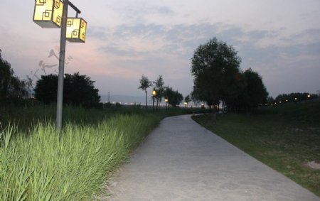 公园小路路灯图片