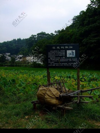 江西婺源晓起茶叶青石板路图片