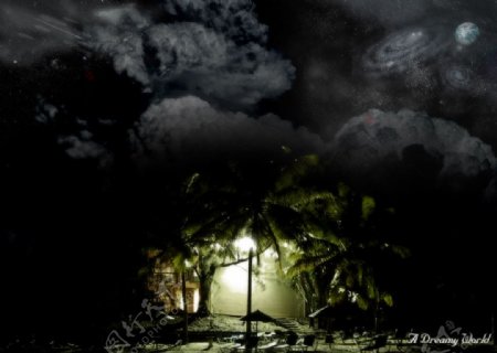 椰树下的光芒图片
