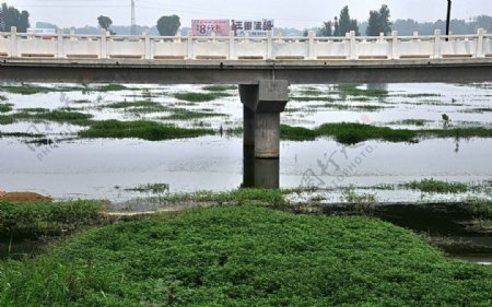 赵河的中桥图片