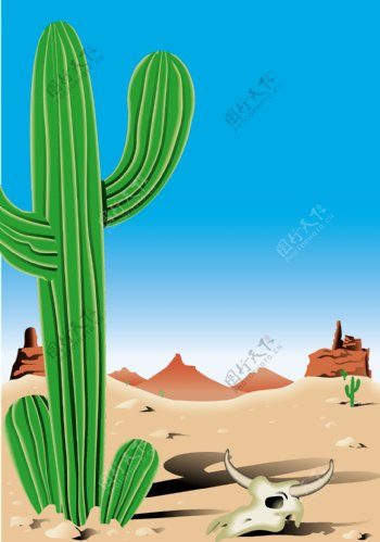 沙漠仙人掌图片