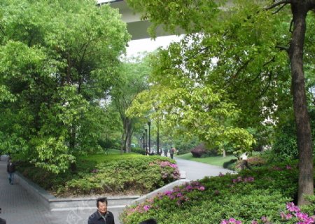 上海延中绿地绿化美图图片