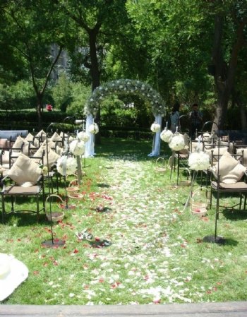 草地婚礼图片