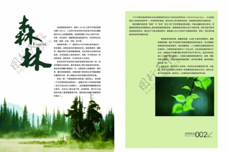 森林画册内页psd下载图片