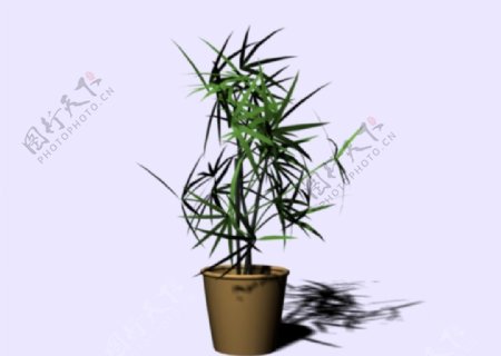 绿色植物模型图片