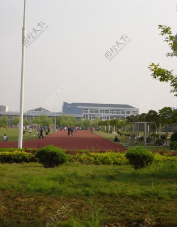 高校操场绿化图片
