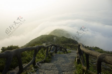 深圳最高峰梧桐山图片